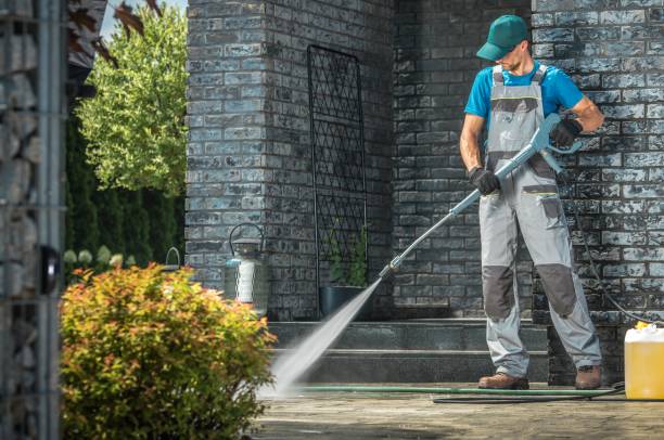 Best Roof Washing  in Little Falls, MN