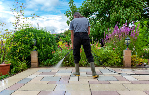 Best Fence Cleaning  in Little Falls, MN