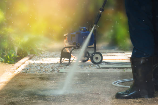 Best Rust Removal  in Little Falls, MN